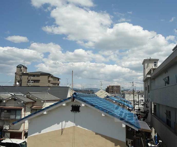 【ロイヤル清涼】間取