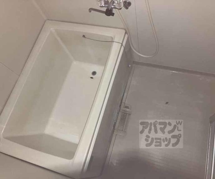 【プリヴュイクシマ】間取