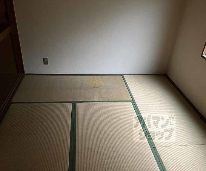 【プリヴュイクシマ】間取