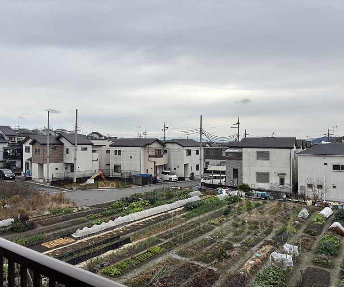 【メゾンドール東条】間取