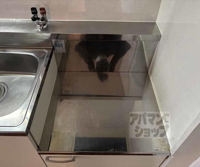 【メゾンドール東条】間取