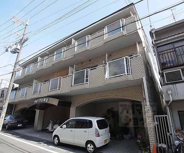 ヴィーヴル向日