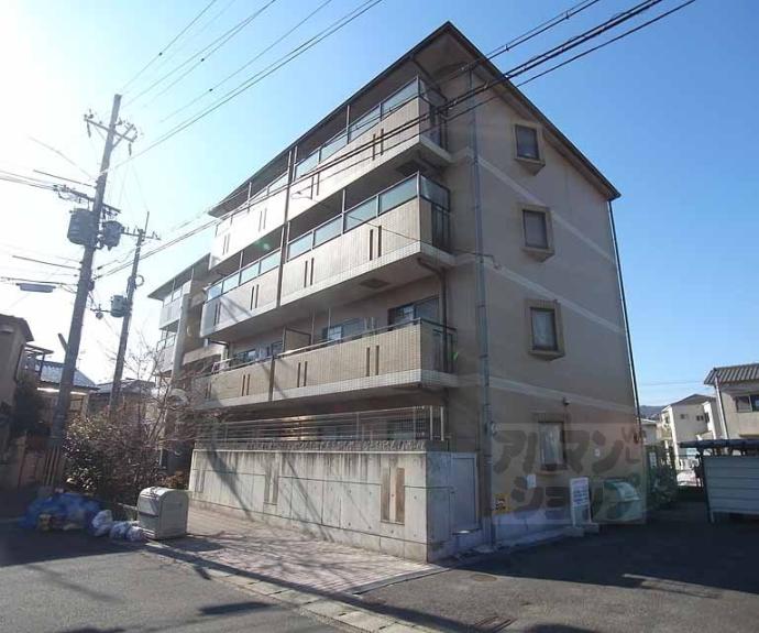 【DEAR PLACE梅津1】間取