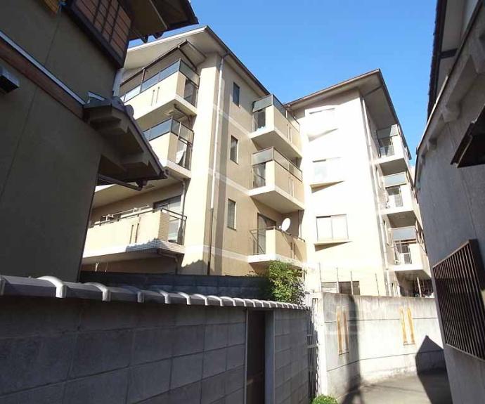 【DEAR PLACE梅津1】間取