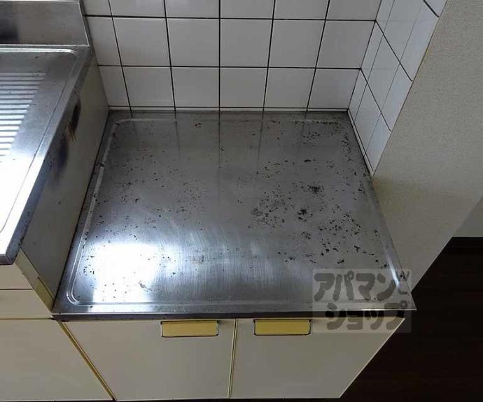 【ロイヤルテラス佳欧留】間取