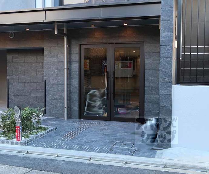 【ソルテラスＫＹＯＴＯ西大路　瑠】間取