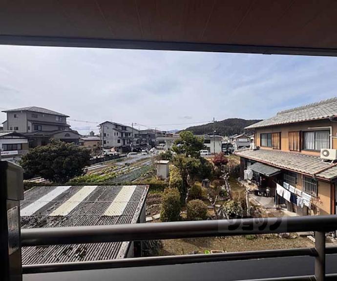 【ＰＩＮＥ館Ⅶ】間取