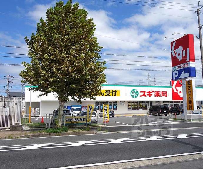 【上植野町落堀貸家】間取