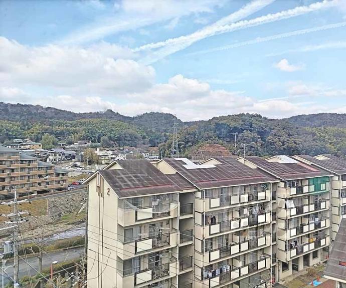 【ホワイトハウス】間取