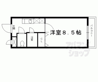【カントリーベア】