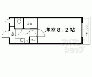 【カントリーベア】