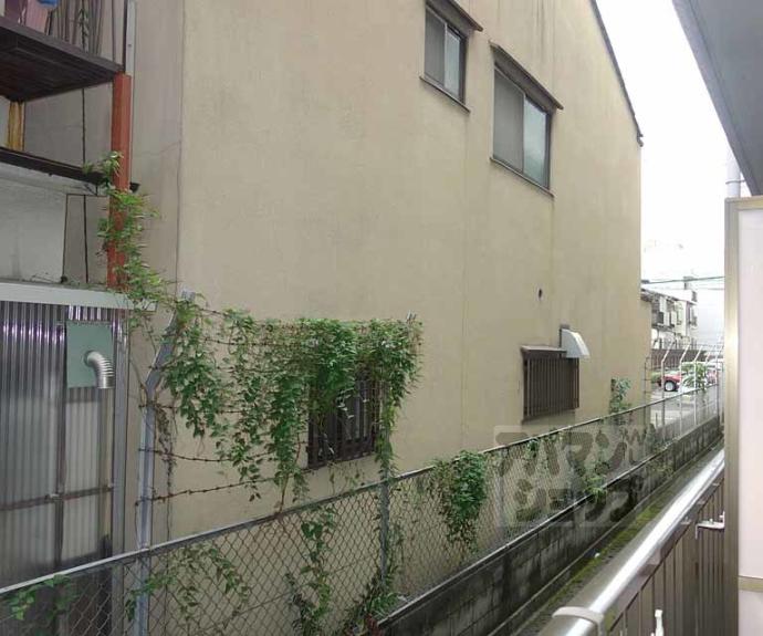 【ドムールＹ】間取