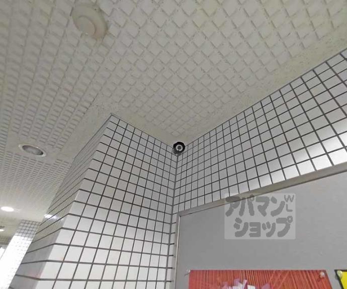 【ギャラリーカトビル】間取