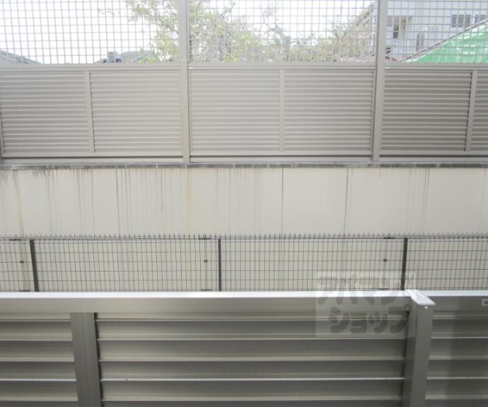 【セレニティ宮野和】間取