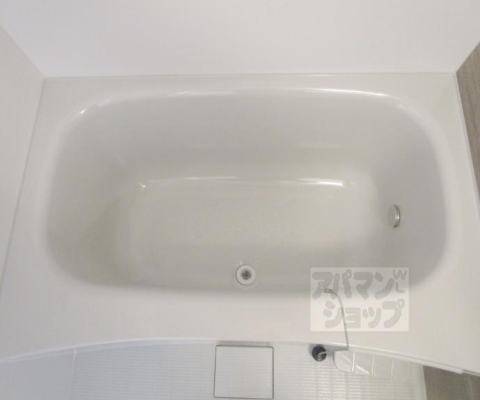 【セレニティ宮野和】間取