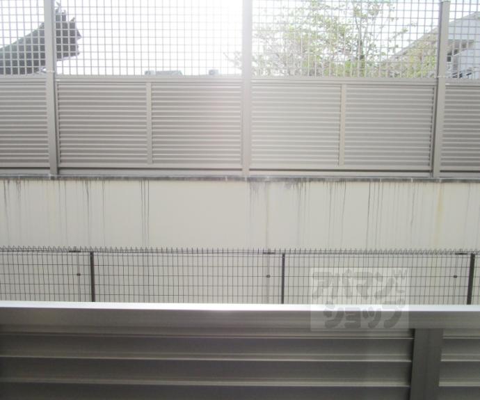 【セレニティ宮野和】間取