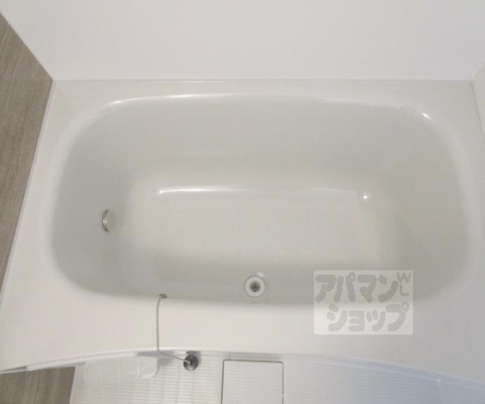 【セレニティ宮野和】間取