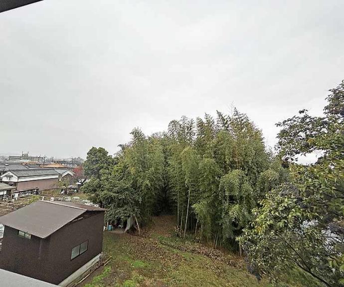 【ミラーエステート　イーストビル】間取