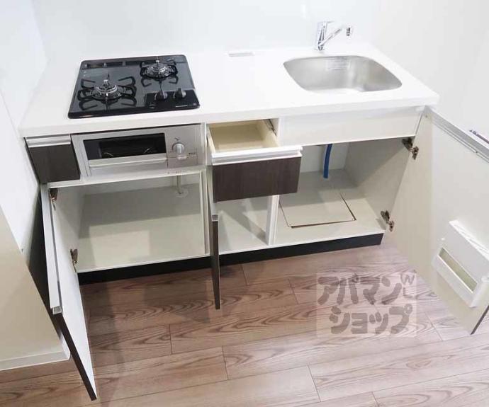 【プレサンス十条凛華】間取