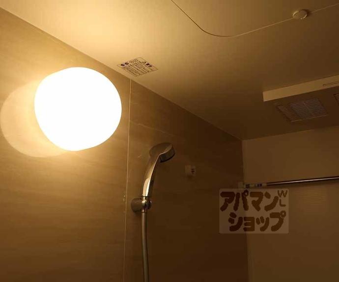 【プレサンス十条凛華】間取