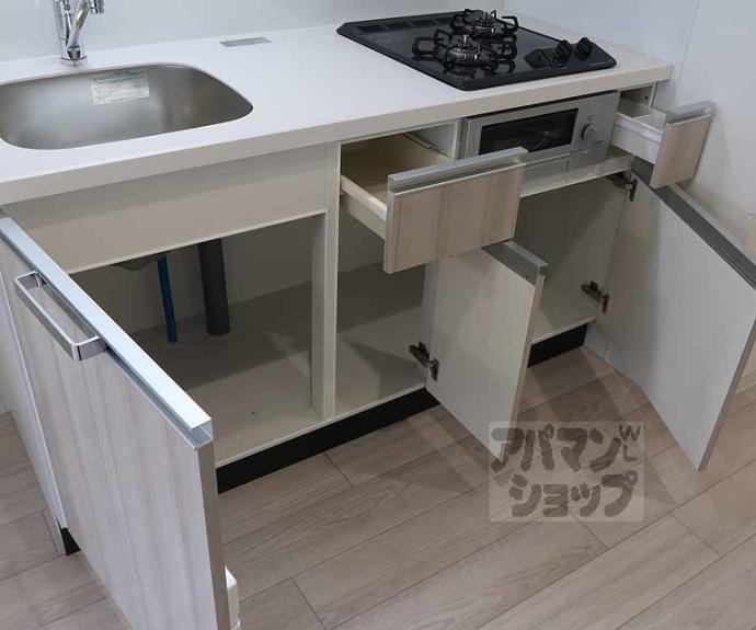 【プレサンス十条凛華】間取