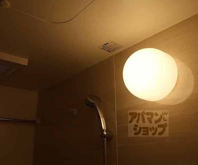 【プレサンス十条凛華】間取