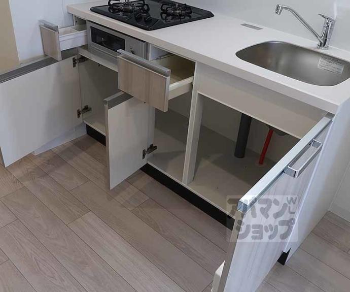 【プレサンス十条凛華】間取