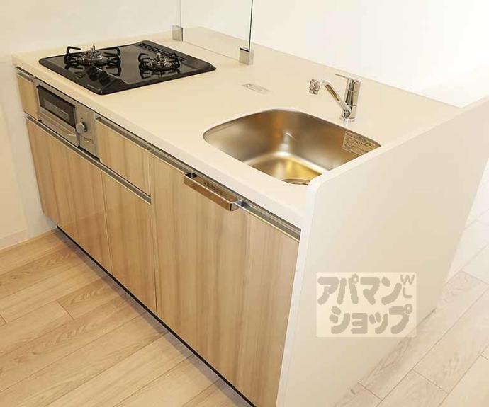 【プレサンス十条凛華】間取