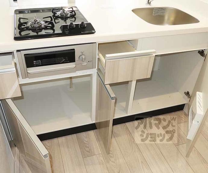 【プレサンス十条凛華】間取