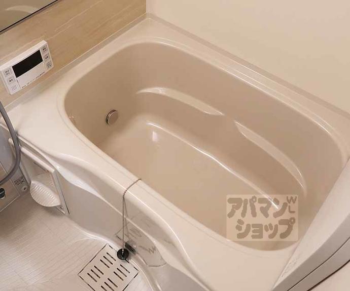 【プレサンス十条凛華】間取