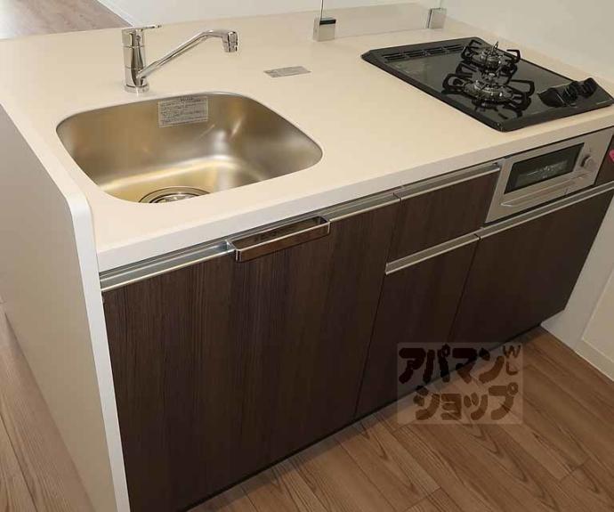 【プレサンス十条凛華】間取