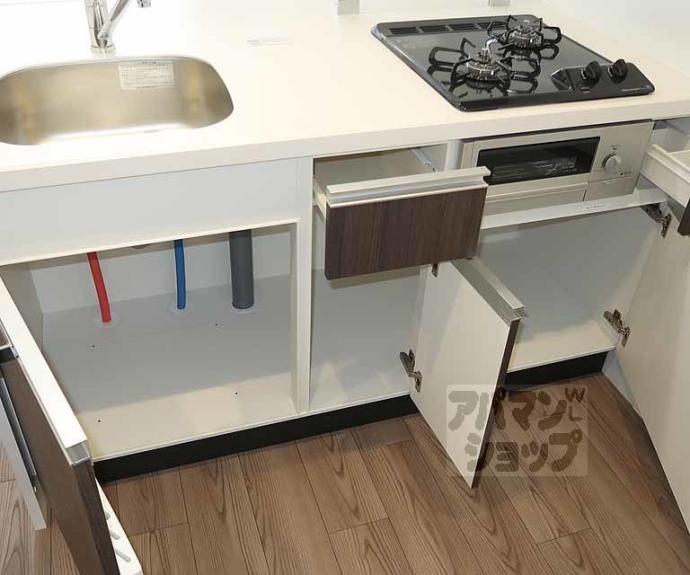 【プレサンス十条凛華】間取