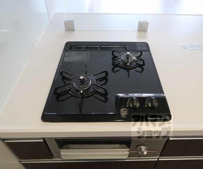 【プレサンス十条凛華】間取