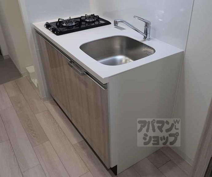 【プレサンス十条凛華】間取