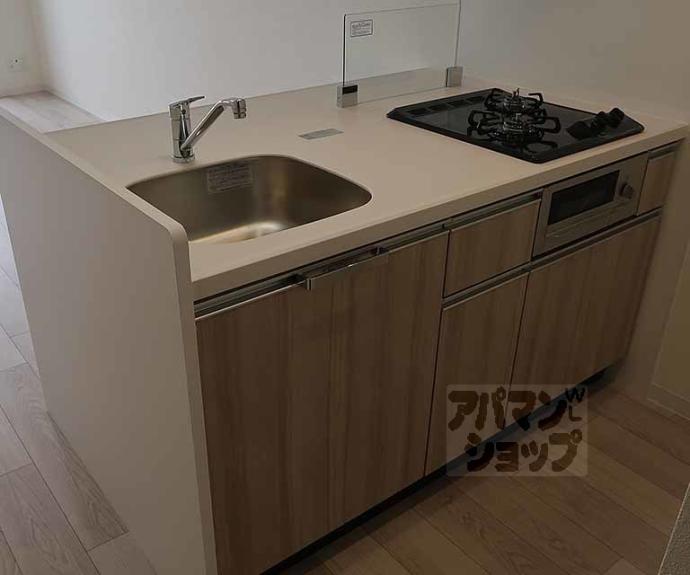 【プレサンス十条凛華】間取