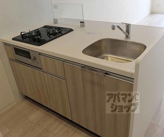 【プレサンス十条凛華】間取