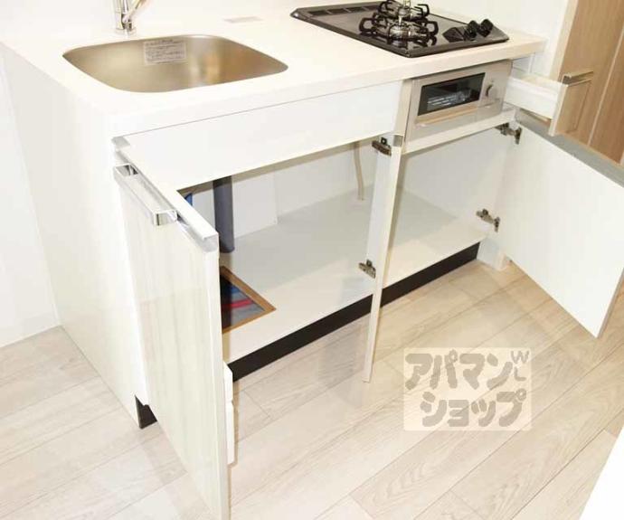 【プレサンス十条凛華】間取