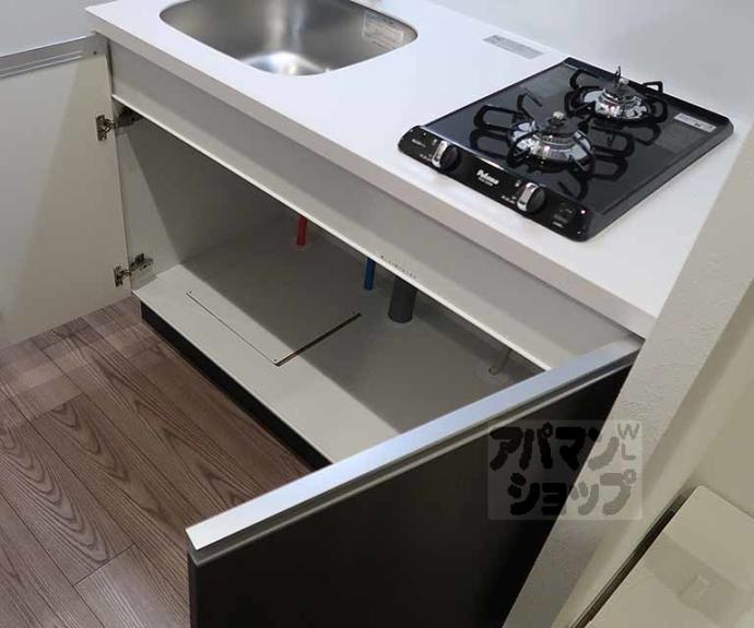 【プレサンス十条凛華】間取