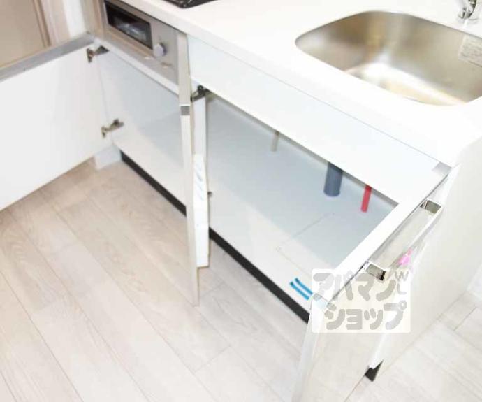 【プレサンス十条凛華】間取