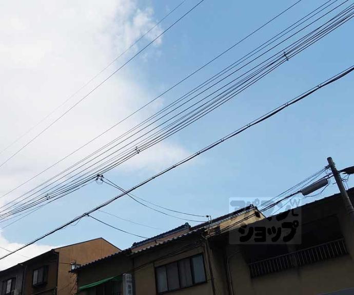 【プレサンス十条凛華】間取