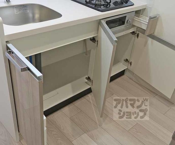 【プレサンス十条凛華】間取