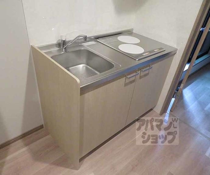 【VEGAS西ノ京 A】間取