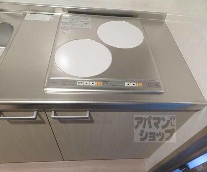 【VEGAS西ノ京 A】間取