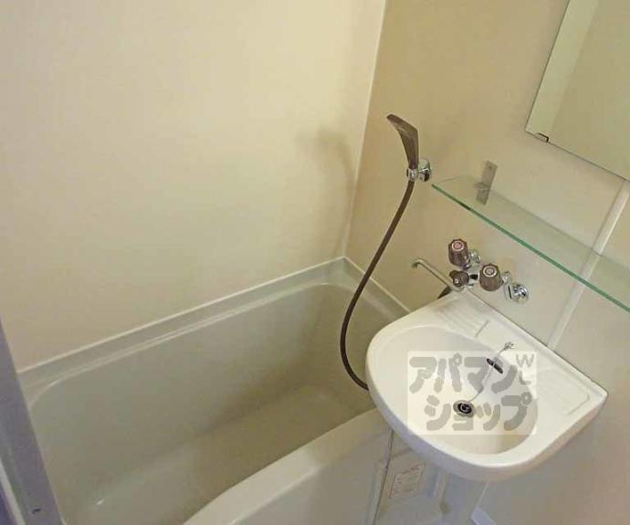 【PINE TREE】間取