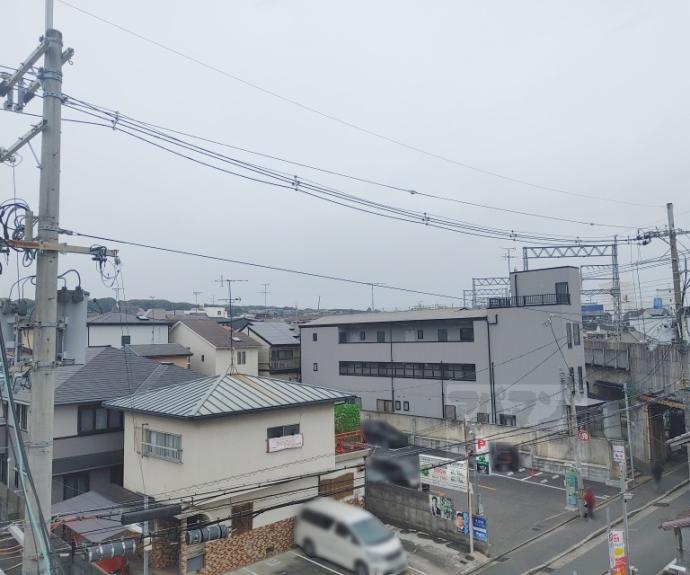 【PINE TREE】間取