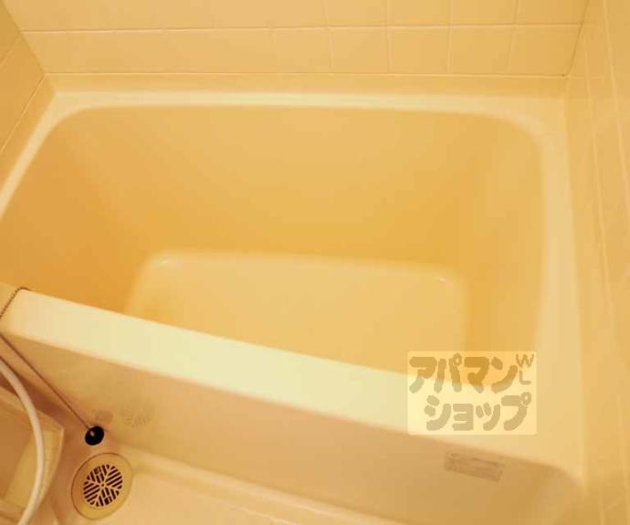 【アビタシオン鴨川】間取