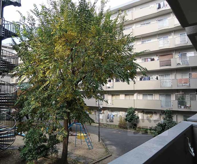 【吉祥院ガーデンハイツ】間取