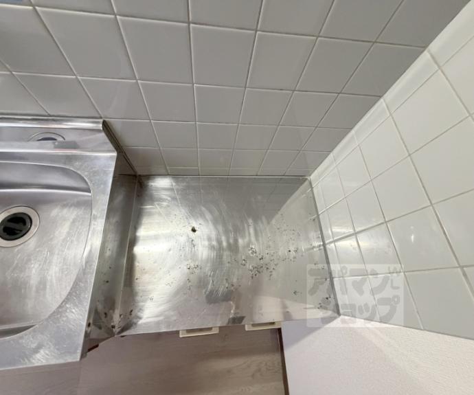 【パレスオブタクティクス】間取