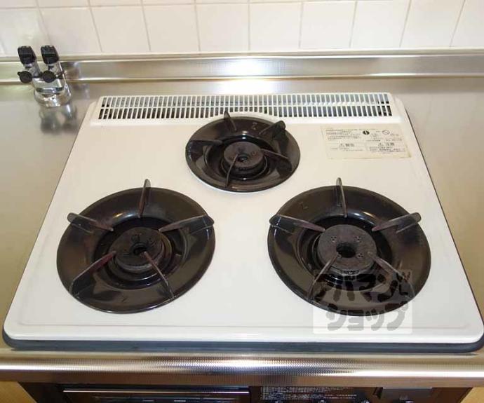 【フィエスタ・ヴィラ】間取