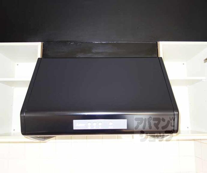 【フィエスタ・ヴィラ】間取